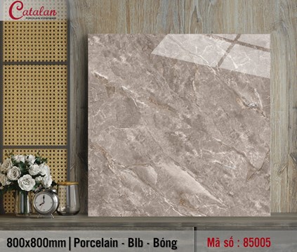 /UserUpload/Product/Da-lat-nen-80x80-Porcelain-Catalan-TITAN-85005.jpg