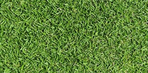 Đá mờ Đồng Tâm Greenery001