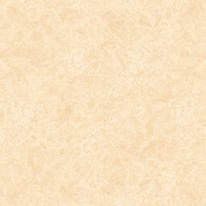 Đá bóng kính Tasa 80x80 8326