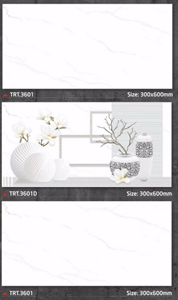 Đá ốp tường TOROTO TRT3601