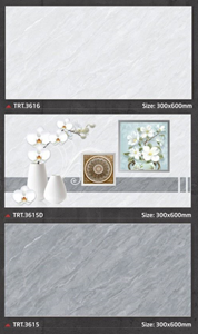 Đá ốp tường TOROTO TRT3616