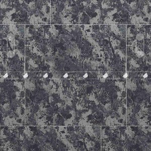 GẠCH ĐỒNG TÂM 2 DA 8080PLATINUM005