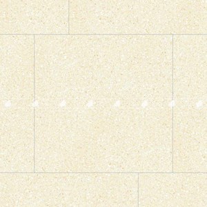 GẠCH ĐỒNG TÂM 8080ROME004-H+