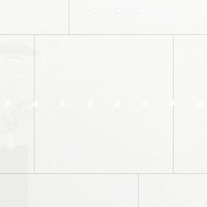 GẠCH ĐỒNG TÂM 8080SNOW001-FP-H+