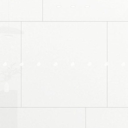 GẠCH ĐỒNG TÂM 8080SNOW001-FP-H+