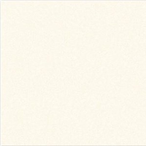 Gạch 1mx1m VITTO ĐT 10602