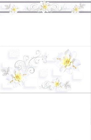 Gạch 300x600 giá rẻ TC000+3