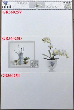 Gạch 30x60 bộ 36025