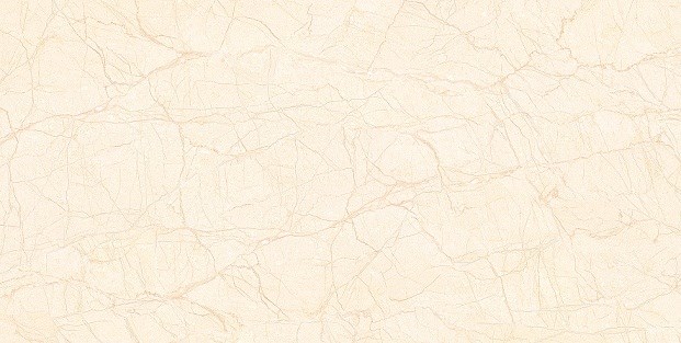 Gạch 400x800 TASA 4805