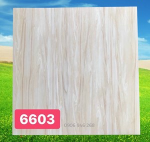 Gạch 600x600 PAK 6603