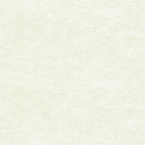 Gạch 600x600 PRIME 15202