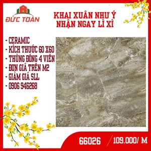 Gạch 600x600 Xả kho lo tết 66026