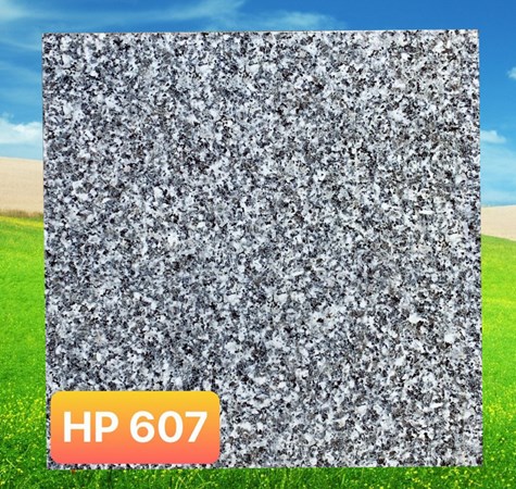 Gạch 60x60 PAK 607