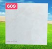 Gạch 60x60 PAK 609