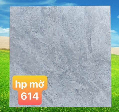 Gạch 60x60 PAK 614 men mờ