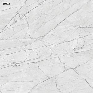 Gạch 80x80 VITTO 872