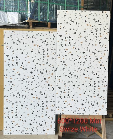 Gạch Ấn Độ 60x120 SWIZE WHITE