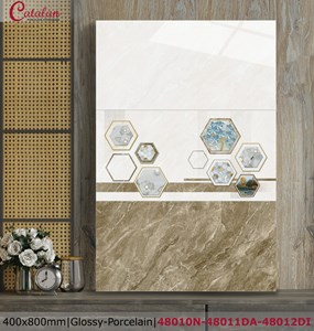 Gạch Catalan 40x80 48010N