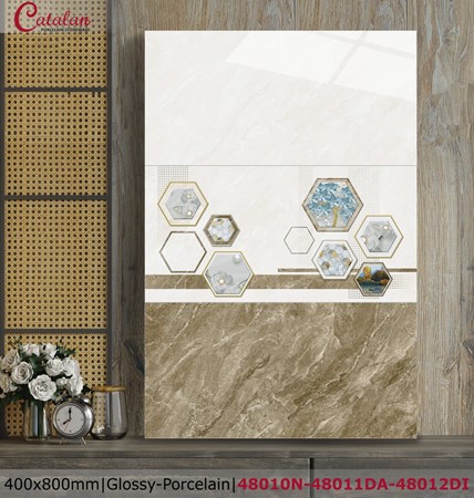 Gạch Catalan 40x80 48010N