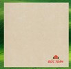 Gạch Đồng Tâm 1mx1m 100DB016-NANO
