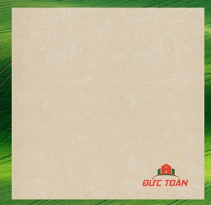 Gạch Đồng Tâm 1mx1m 100DB016-NANO