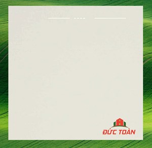 Gạch Đồng Tâm 1mx1m 100DB038 NANO