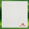 Gạch Đồng Tâm 1mx1m 2 Da 100MARMOL005