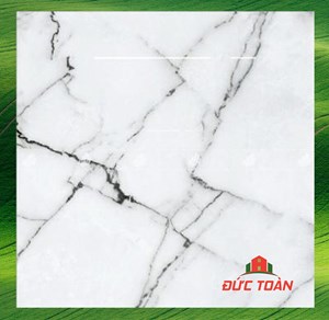 Gạch Đồng Tâm 1mx1m Đồng Văn 004