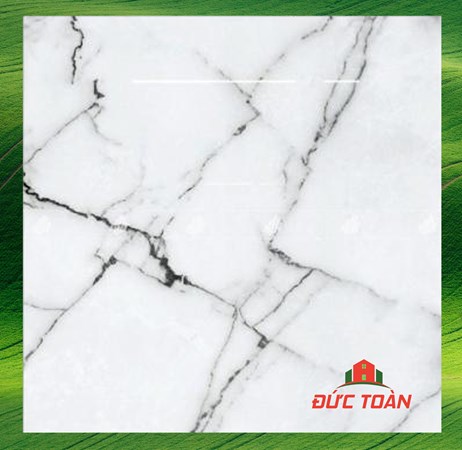 Gạch Đồng Tâm 1mx1m Đồng Văn 004