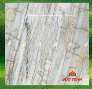 Gạch Đồng Tâm 1mx1m Đồng Văn 005