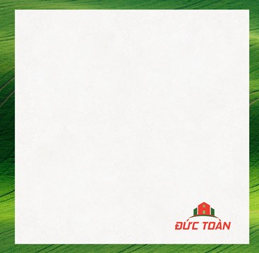 /UserUpload/Product/Gach-Dong-Tam-1mx1m-VICTORIA-005.jpg