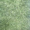 Gạch Đồng Tâm 4040GRASS001