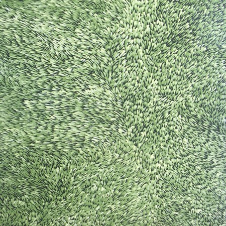 Gạch Đồng Tâm 4040GRASS001