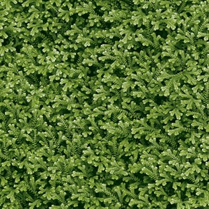 Gạch Đồng Tâm 4040THESEA001