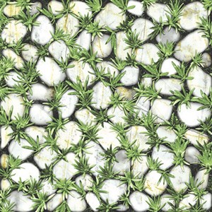 Gạch Đồng Tâm 40x40 4040CLG003