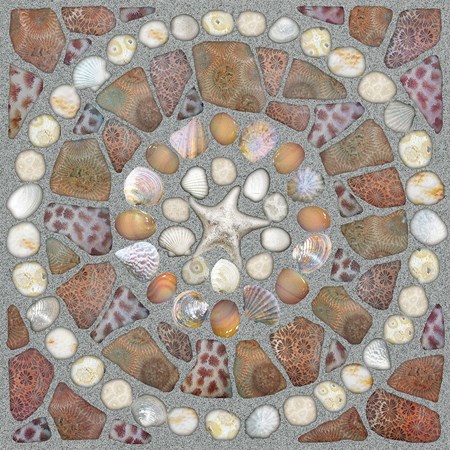 Gạch Đồng Tâm 50x50 DTD5050HOANGSAVN