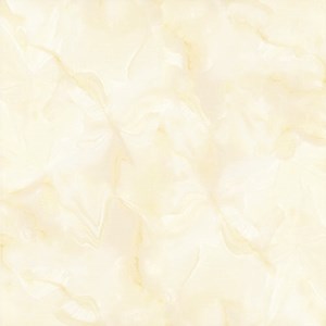 Gạch Granite bóng kiếng toàn phần NY 8883