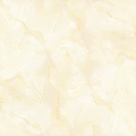 Gạch Granite bóng kiếng toàn phần NY 8883