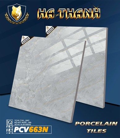 Gạch Hà Thanh 60x60 PCV663