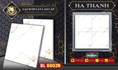 Gạch Hà Thanh 800x800 bóng kính BL 8802N