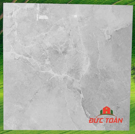 Gạch Hà Thanh 800x800 bóng kính TTV 88003