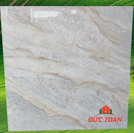 Gạch Hà Thanh 800x800 bóng kính TTV 88005