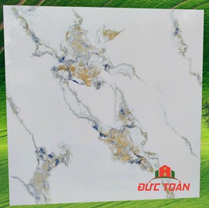 Gạch Hà Thanh 800x800 bóng kính TTV 88008