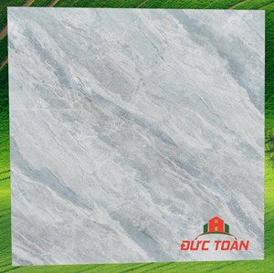 Gạch Hà Thanh 800x800 bóng kính TTV 88010