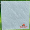 Gạch Hà Thanh 800x800 bóng kính TTV 88011