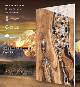 Gạch INDIA 600x1200 Bóng kính 17