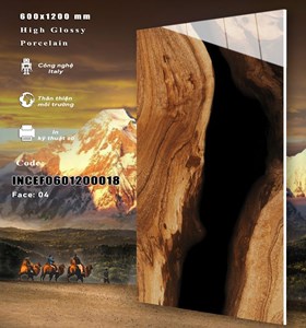 Gạch INDIA 600x1200 Bóng kính 18