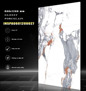 Gạch INDIA 600x1200 Bóng kính 27