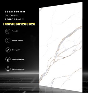 Gạch INDIA 600x1200 Bóng kính 28