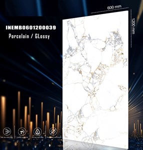 Gạch INDIA 600x1200 Bóng kính 39
